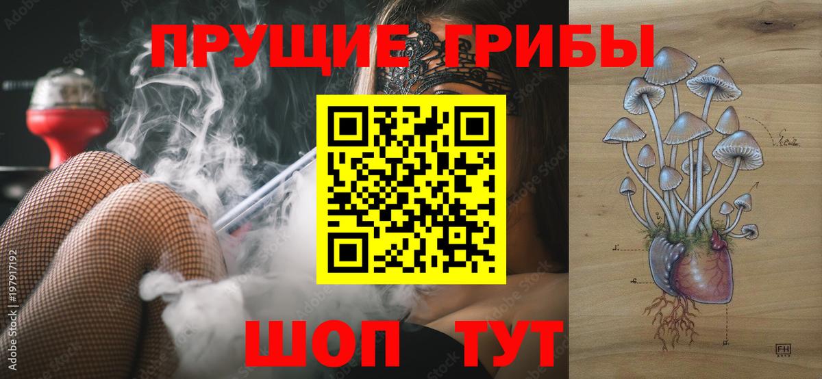 Киров  цены наркотик  Вход с VPN  Псилоцибиновые грибы прущие грибы 